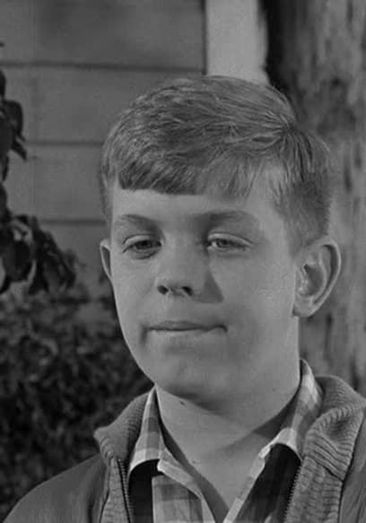 Watch Leave It to Beaver S05:E22 - Three Boys and a Burro - Free TV ...