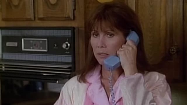 S14:E13 - Farewell, My Lovely