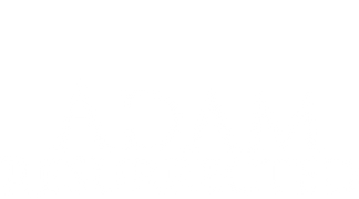 Adam Resurrected