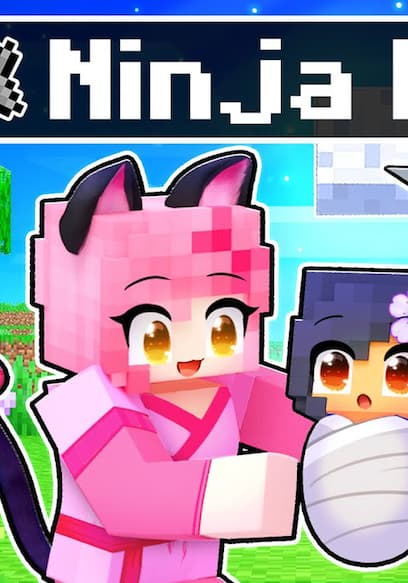 S01:E20 - FOUND by a NINJA FAMILY in Minecraft! poster