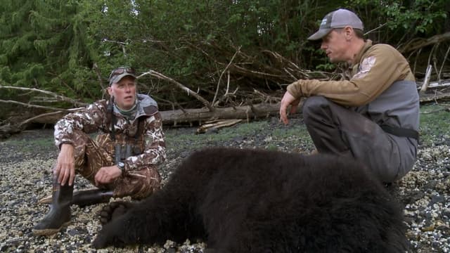 S05:E16 - Up at the Cabin: Prince of Wales Island Black Bear