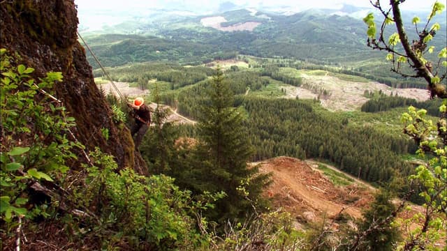 S05:E08 - Out of Control