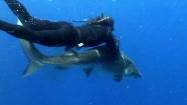 S08:E13 - Episode 13