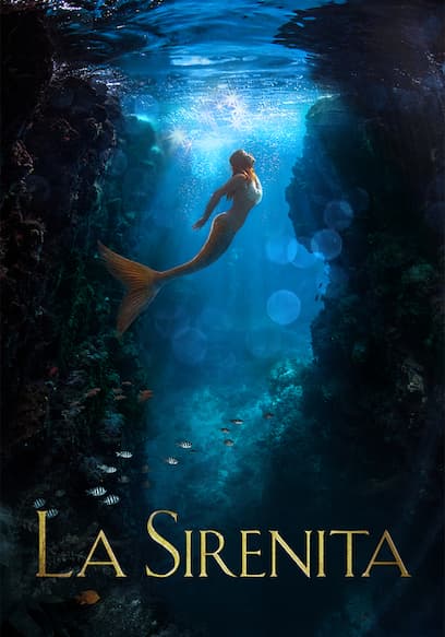 La sirenita (Doblado)