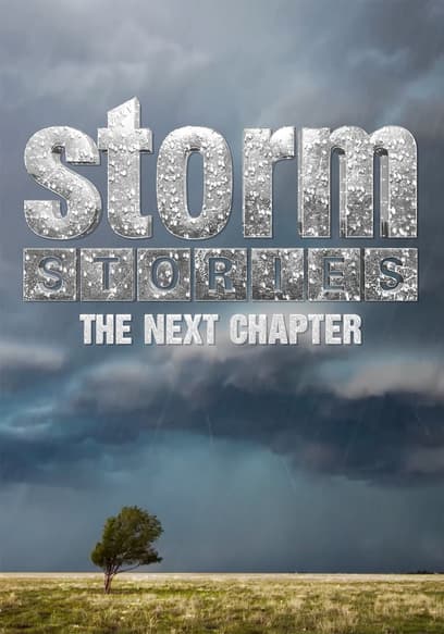 Storm Stories: The Next Chapter poster