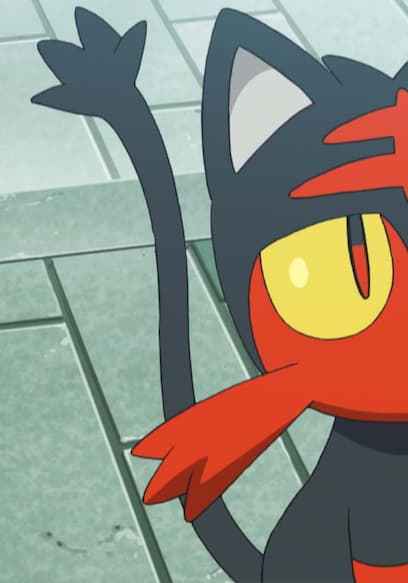 S20:E04 - First Catch in Alola, Ketchum-Style! poster