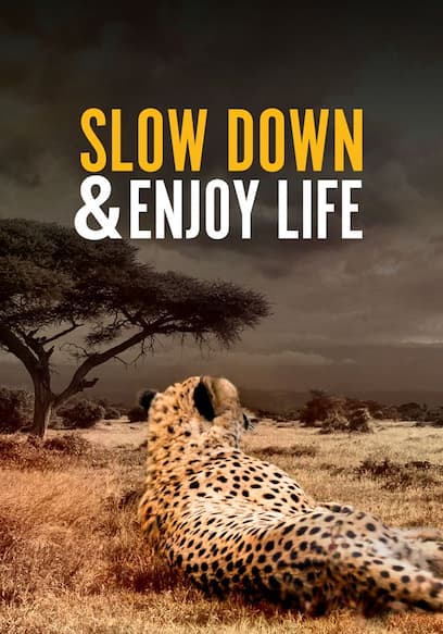 Slow Down & Enjoy Life poster