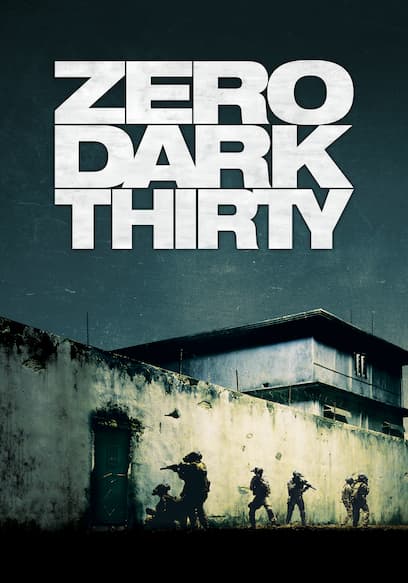 Zero Dark Thirty