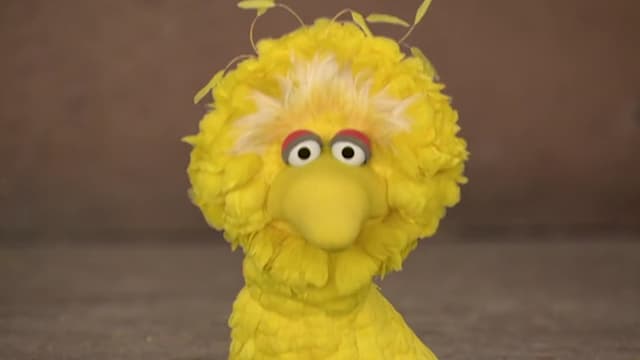 S36:E25 - Adventures of Little Big Bird, Part 1