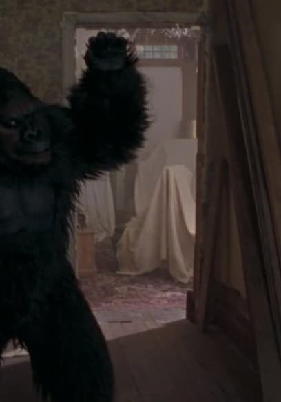 S01:E16 - Going Ape poster
