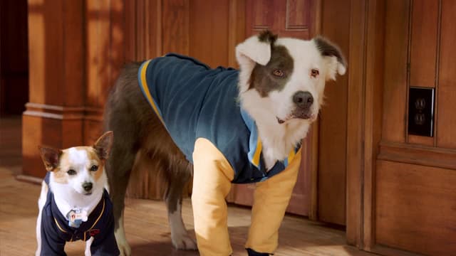 S01:E12 - The Thing With King