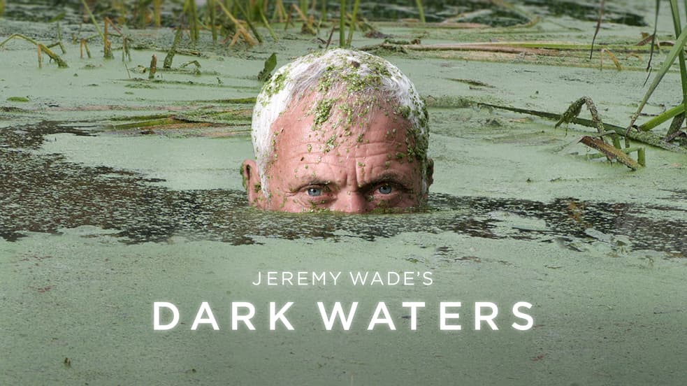 Nature Docuseries: Watch Free Online | Tubi