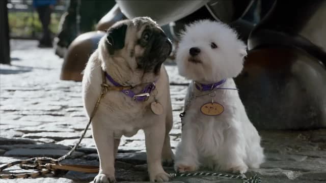 S2025:E03 - Best of Breeds Day 2