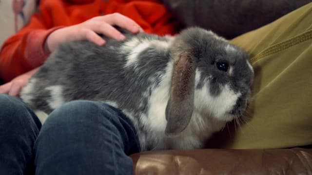 S01:E08 - Rufus