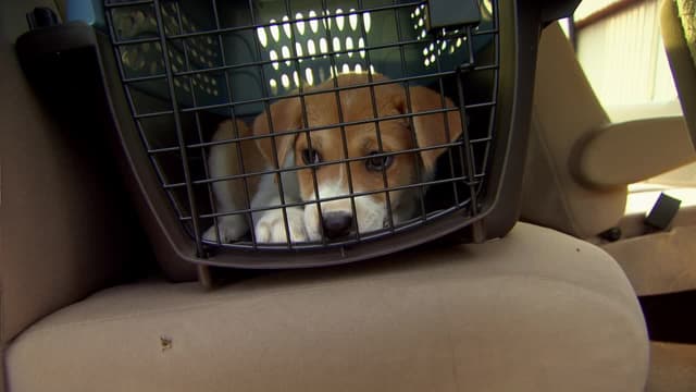 S02:E03 - Saved by the Sky