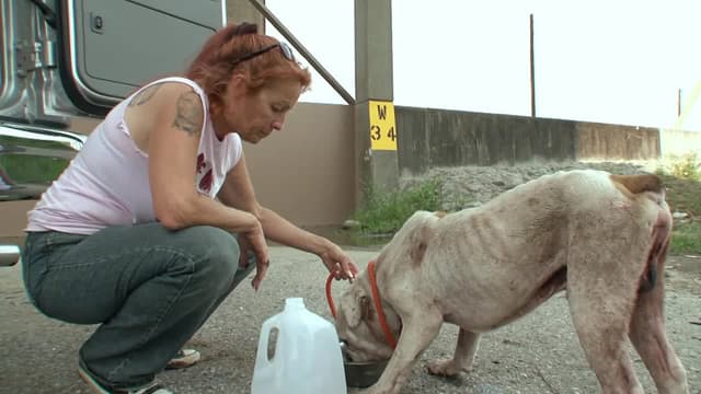 S04:E09 - Boiling Point