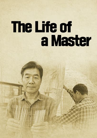 The Life of a Master poster