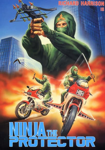 Ninja the Protector