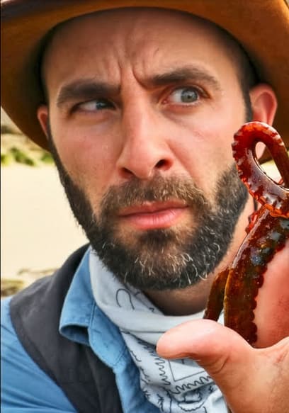 S01:E11 - Inky Wonders: Camoflauging Octopuses poster
