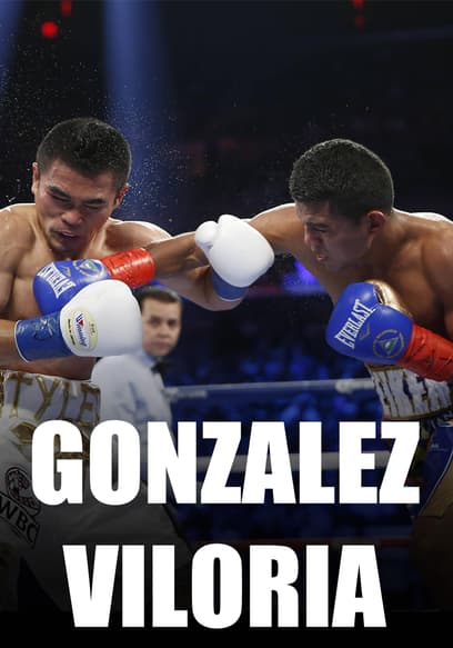 Boxing's Best of 2015: Gonzalez vs. Viloria - 12/30/15