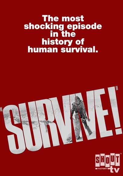 Survive!