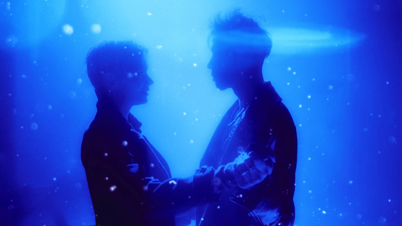 Watch Seize the Night