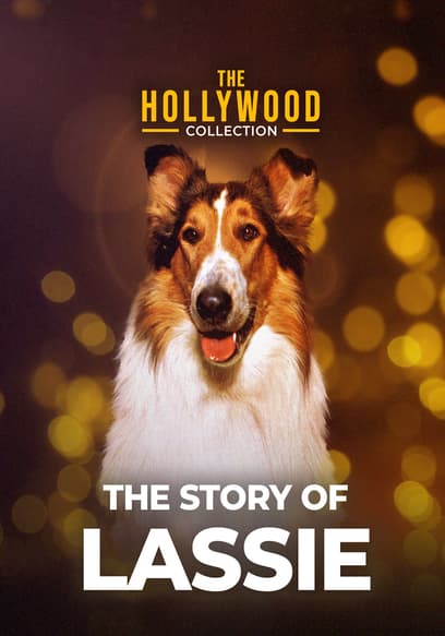 The Hollywood Collection: The Story of Lassie