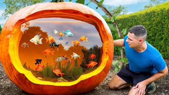 S01:E15 - 2000 Pound Pumpkin Aquarium