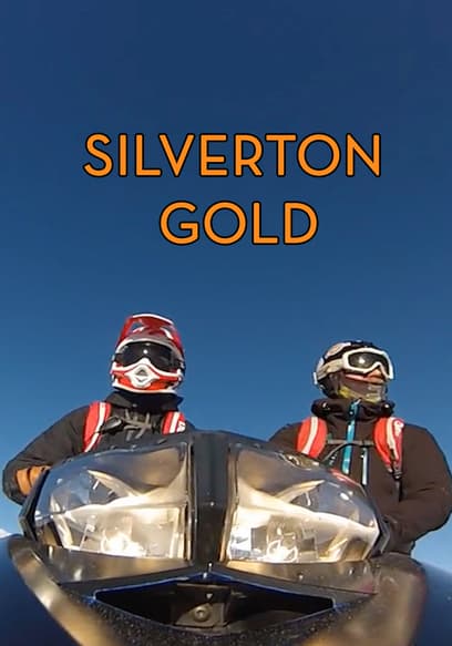 Silverton Gold