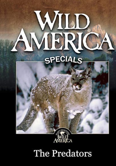 Wild America Specials: The Predators