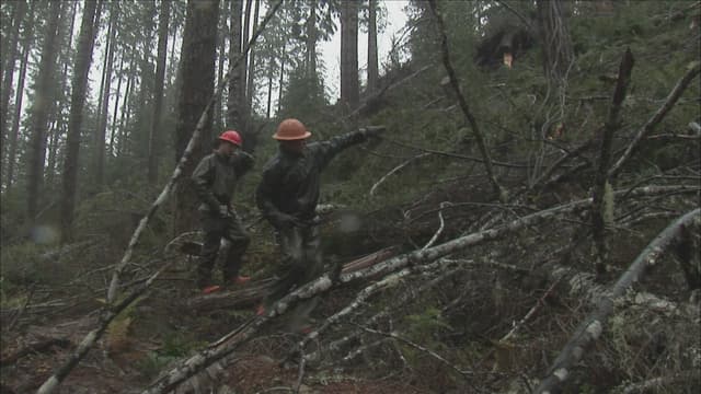 S01:E12 - The Toughest Season