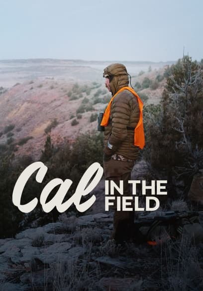 Cal in the Field