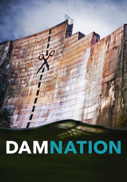 DamNation poster