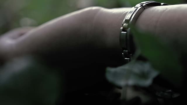 T01:C15 - S01:E15 - El Caso De Stéphane Dieterich