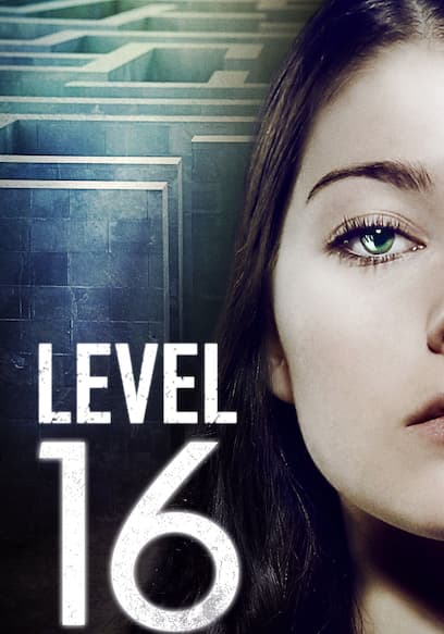 Level 16