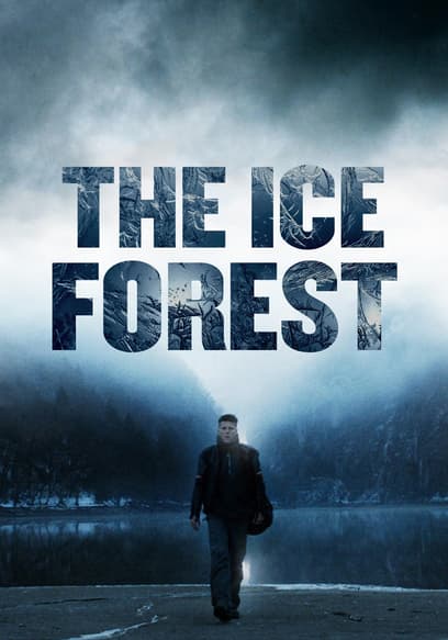 The Ice Forest