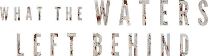 What the Waters Left Behind