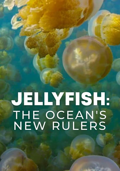 Jellyfish: The Ocean's New Rulers poster