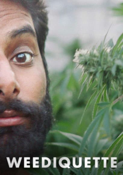 S01:E02 - Stoned Vets