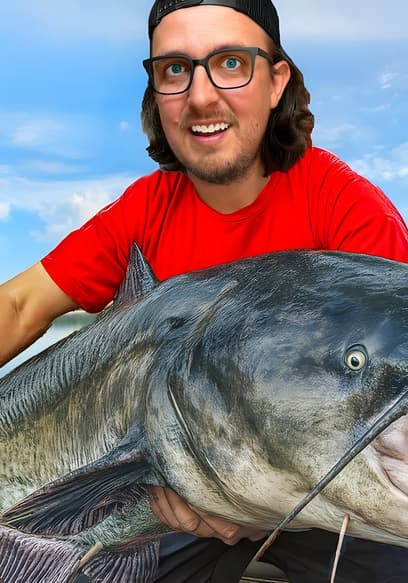 Affiche de S01:E01 - Cat Fish Tournament
