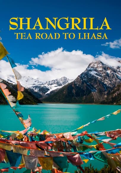 Shangrila: Tea Road to Lhasa