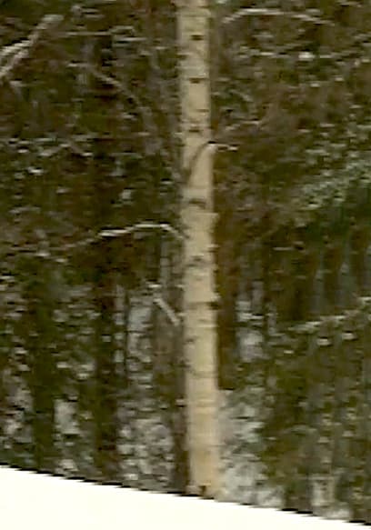 S01:E02 - Sugarbush poster