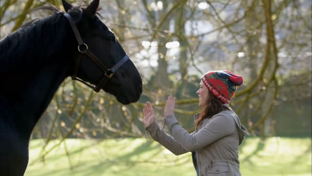 S01:E14 - Episode 14