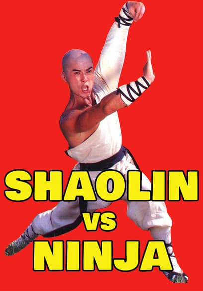 Shaolin vs. Ninja