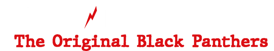 761st Tank Battalion: The Original Black Panthers