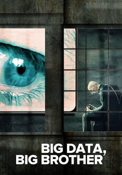 Big Data, Big Brother