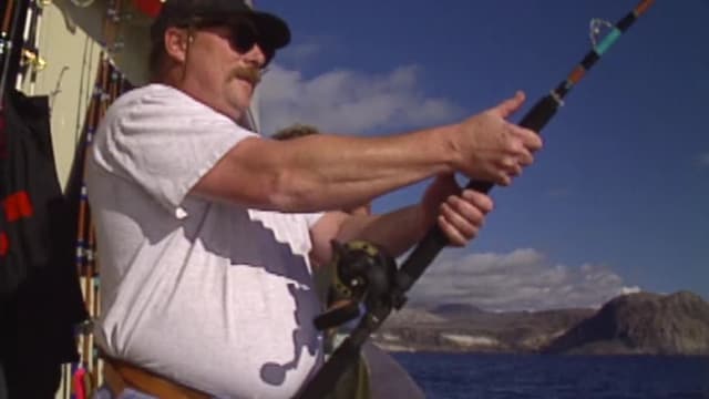 S02:E14 - Hammering Yellowfin: Guadalupe Island, Part 2