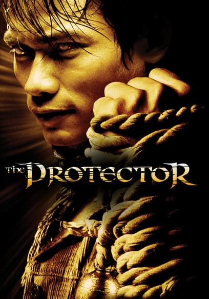 The Protector