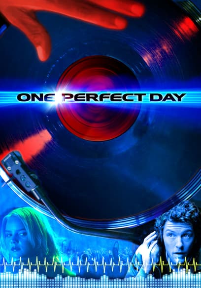 One Perfect Day poster
