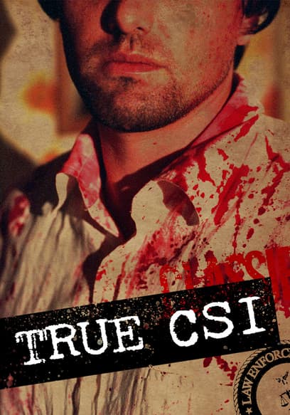 True CSI poster